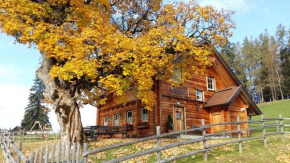 Ferienhaus Bichlhütte, Pruggern, Österreich